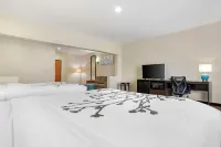 Sleep Inn & Suites Montgomery East I-85