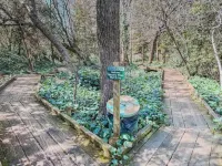 Private Entry Elegant Quiet Safe Cozy Studio Suite