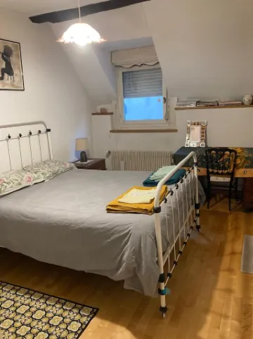 Historic house on rue Pasteur with terrace overlooking Dole's Little Venice