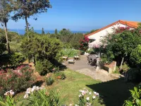 SEASIDE VILLA (200 meters from the beach) WITH SWIMMING POOL 10X4 Hotels in Pietrosella