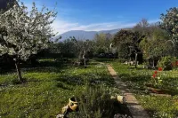 [Large Private Garden] Friulian Dolomites-Sequals