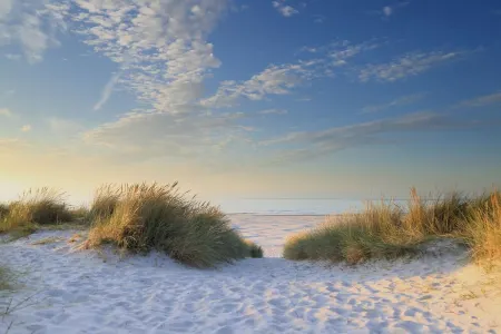 Harry, Luxury property in center of NES Отели в г. Nes