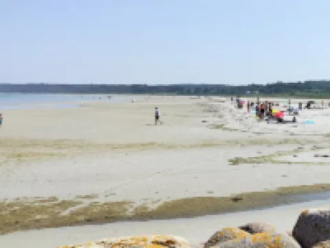 "Line" - 10m from the Sea