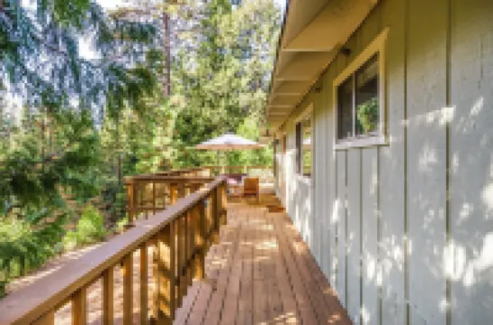 Forest Cabin w/Fireplaces + Kids Sledding Hill!