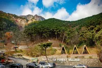 Damyang Lisa Forest Village Hotels in Damyang