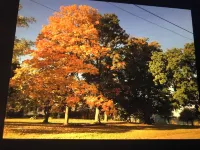 Romantic Wine Country Retreat Spa-Hot Tub & Sauna Hoteles en Hector