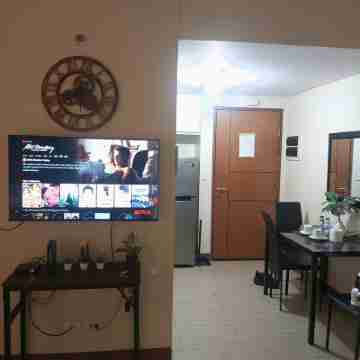 Airport Palm Tree Manila - 5 Others