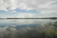 Pet Friendly Lakefront Home Dock, Kayaks and More! - parking