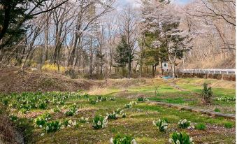 Guest House Mominoki