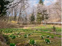 Guest House Mominoki