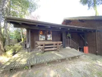 Apartment in La Bresse near River & Ski Resort - Apartments