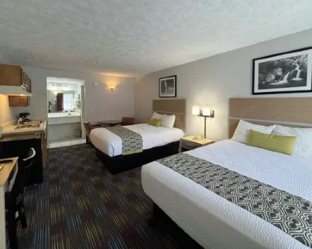 マウンテン・エア・イン・セビアビル/ピジョン・フォージ セバービルのホテル