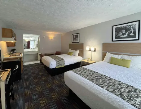 마운틴 에어 인 세비어빌/피전 포지