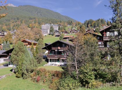 Chalet Spassvogel