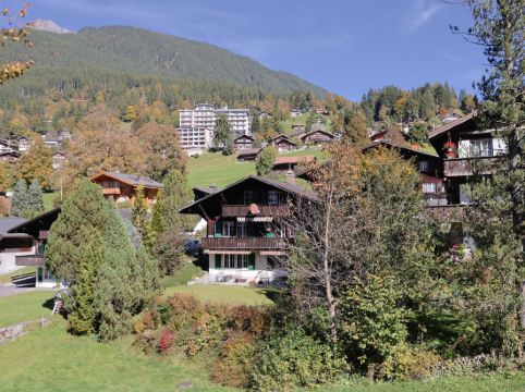 Chalet Spassvogel