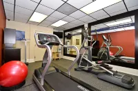 Hampton Inn Savannah-I-95/Richmond Hill - Træningscentre