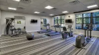 Holiday Inn & Suites TUPELO NORTH by IHG - Gym