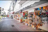 Colonial leyton apartment - Homestays