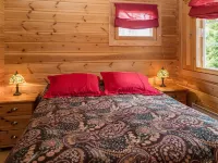 Syvärinkulta b - Pet friendly