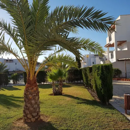 Apartment near Vera Naturist Beach