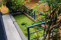 Cattleya Guest house Hotels in Nosy Be