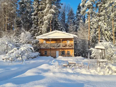 Apartments Valdai Dream Space Hotels in 