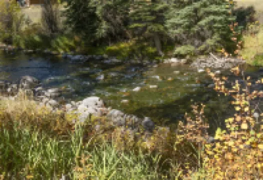 Timbercreek #8b 2 Bedroom Home by RedAwning