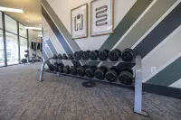 Cozy 1BR Retreat - Condos