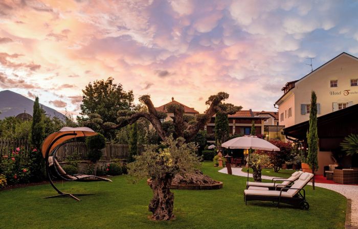 Hotel Traube