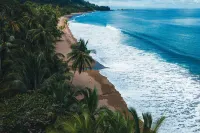 Copa De Arbol Beach & Rainforest Resort - Beach