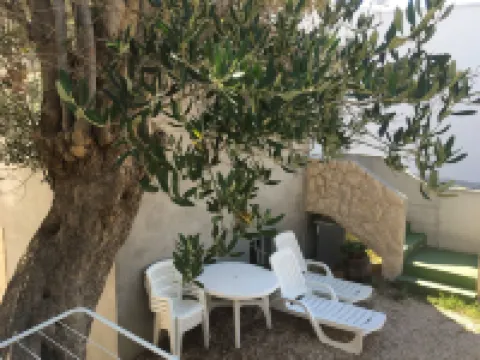 Apartments Suzana Hotels in Lun