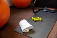 Clarion Aparthotel Toulouse Le Parc de l’Escale - Gym