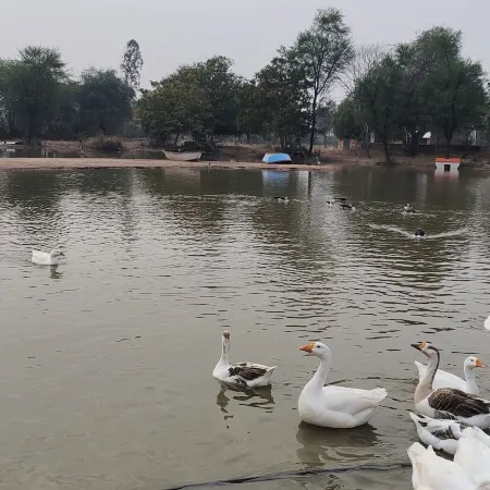 Hotel Goram Garh Resort