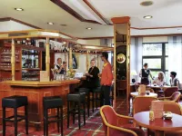 Mercure Hotel Bad Duerkheim An Den Salinen - bar