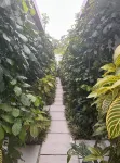 Paradise Palms