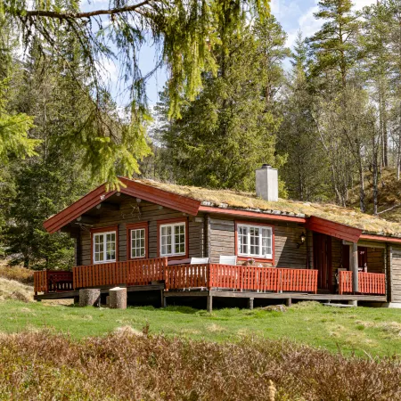 Fjellbris