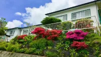 Pension Bergland -  Ferienwohnungen
