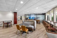 Comfort Inn Detroit - Troy - Parkplatz