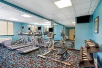 Fairfield Inn & Suites Chicago Lombard - Parking
