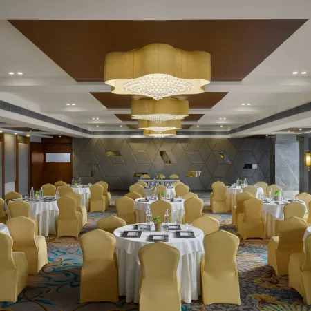 The Fern Vadodara, Series by Marriott