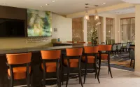 Hilton Garden Inn Orlando Airport - bar