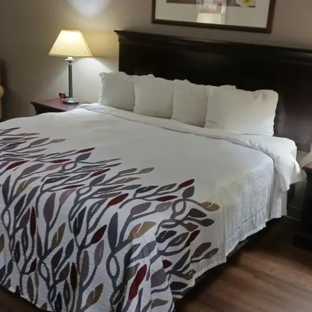 Red Roof Inn & Suites Midland