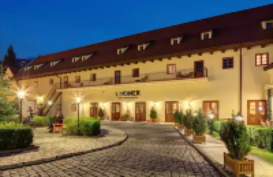 Lindner Hotel Prague Castle フラッチャニのホテル