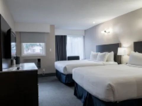 Red Carpet Inn Hotels in Banff