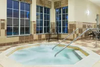 Homewood Suites by Hilton Buffalo-Amherst - Træningscentre