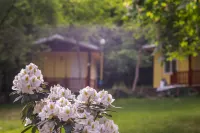Bungalow for 2 Persons in the Perfect Area of Kamena Village