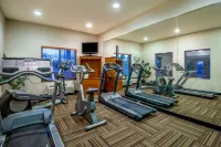 Holiday Inn Express & Suites Vernal - Dinosaurland by IHG - Gym