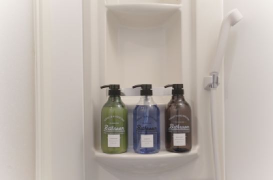 Other Dandelion Photo