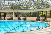 Sheraton Toronto Airport Hotel & Conference Centre - piscina