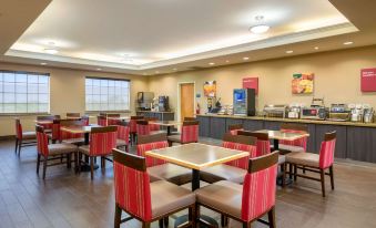 Comfort Inn and Suites Odessa